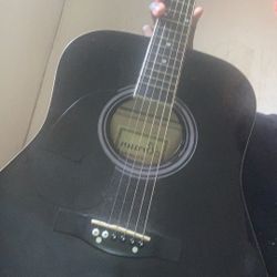 acoustic Guitar 