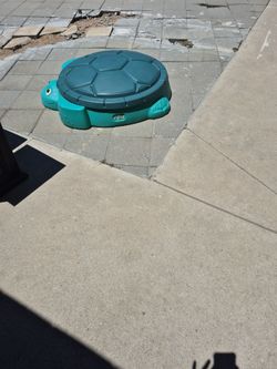 Sandbox turtle with cover