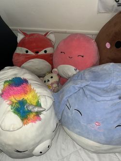 Squishmallow Bundle