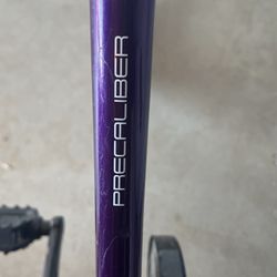 Kid’s Bike Trek Precaliber