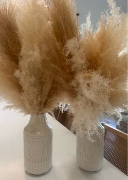 Boho Pampas with 2 vases