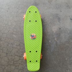 Mini Skateboard 