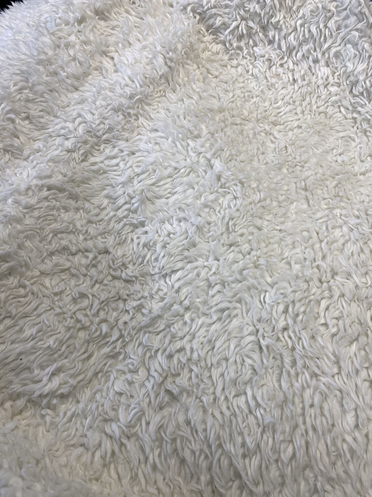 Ruggable. 6x9 Polar White Plush Rug
