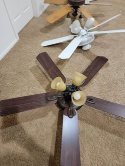 Ceiling Fans