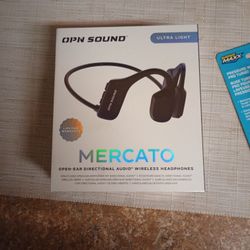 Blue Tooth Headphones 