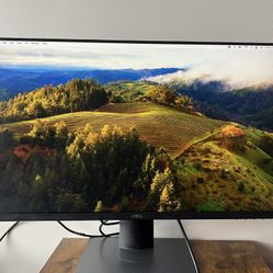 Dell Flat Panel Monitor