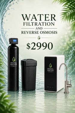 Whole house water filtration system with RO