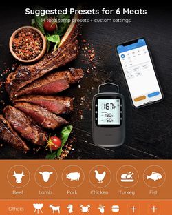 Govee SmartMeat Bluetooth Meat Thermometer Digital Wireless Meat Thermometer  for