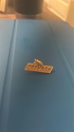 Gold Toned Chevron lapel pin