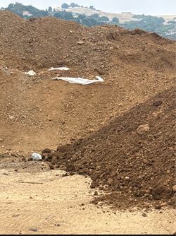 Fill dirt. Clean dirt