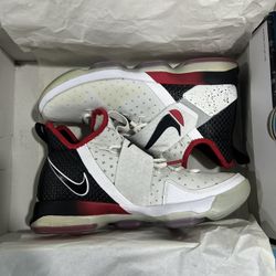 LeBron 14 10.5