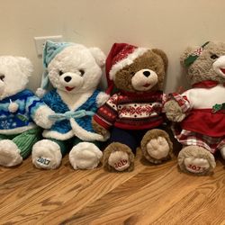 2016-2020 Bears 