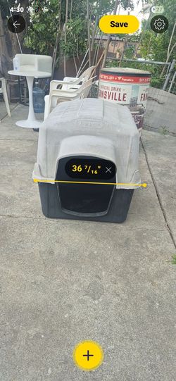 Dog house