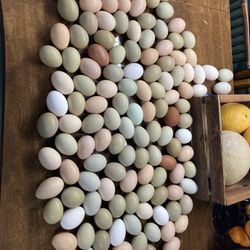 Eggs For Days!