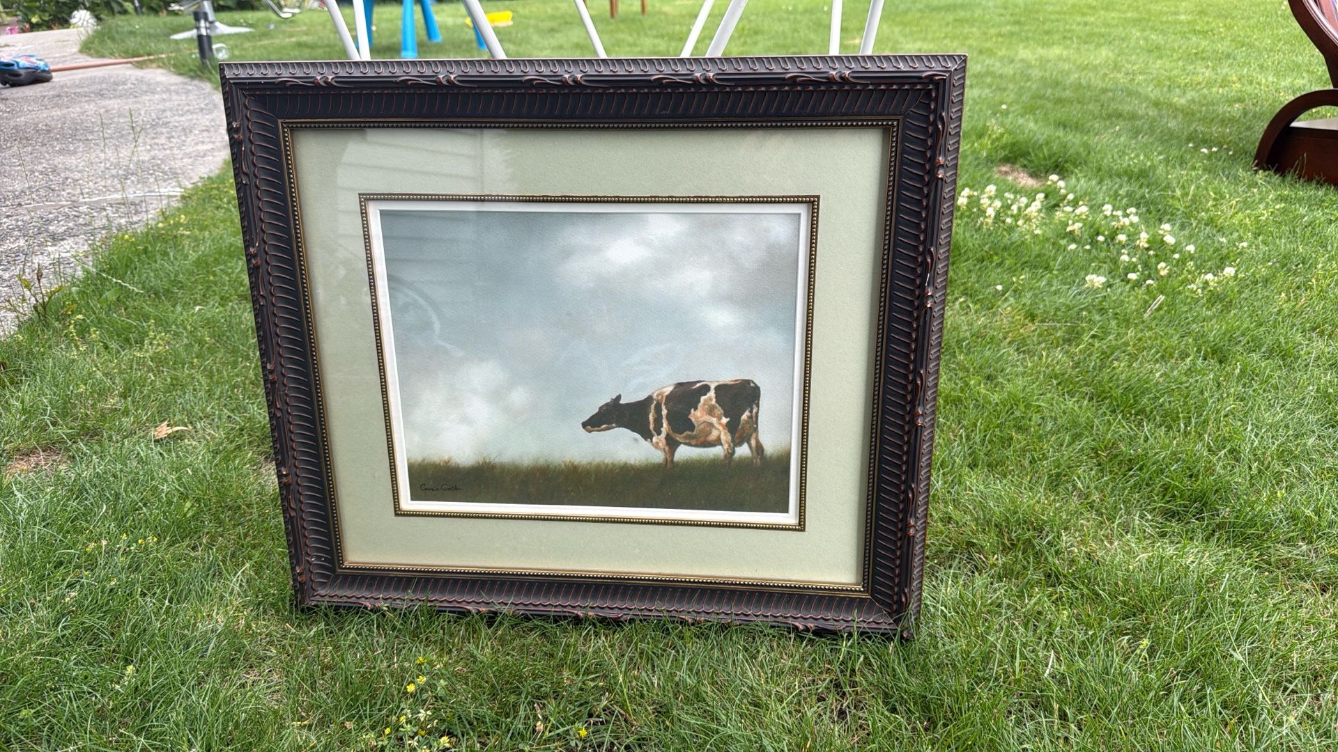 Carrie Coller Cow Picture