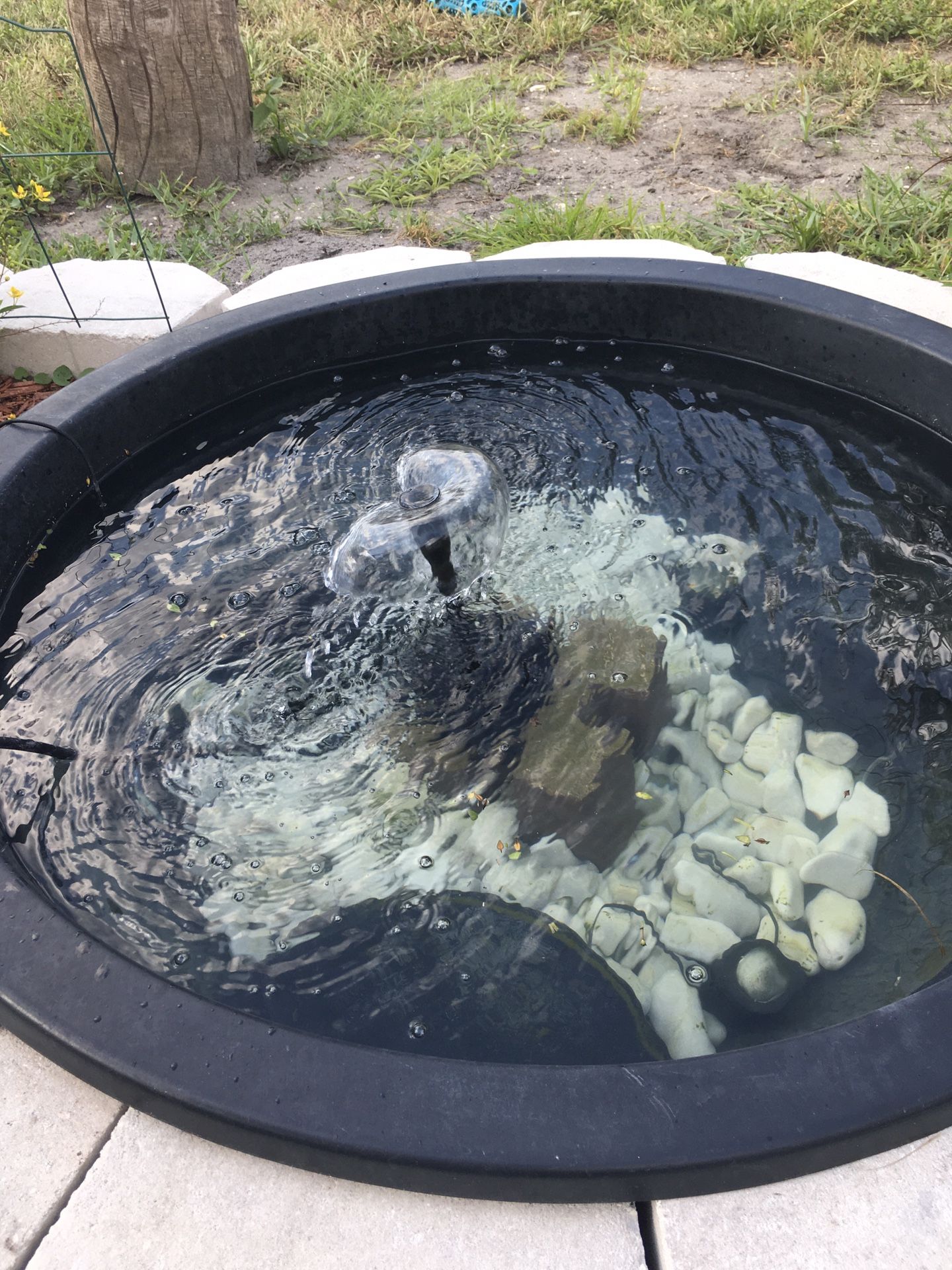 35 gal pond with pump and white rocks