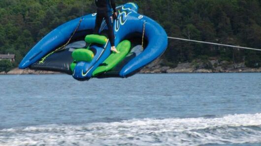 Manta Ray flying kite tube