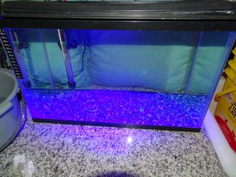 40 gal fish tank , filter