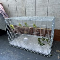 bird cage