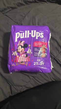 Minnie Mouse Pull Ups 