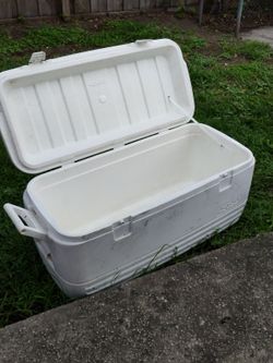 Cooler
