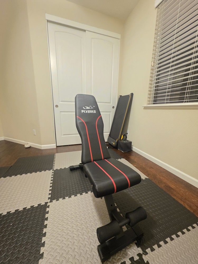 Flybird WB2 Compact Weight Bench – Excellent Condition