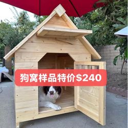 dog house