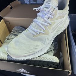 Adidas Shoe For Sale 