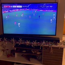 48in. LG TV 4K