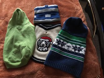Dog clothes
