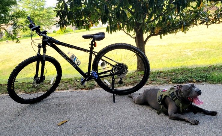 Cannondale Trail 5