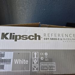 Ceiling  Home Theater Speaker