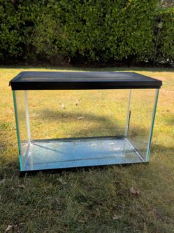 20 Gal Aquarium / Reptile / Gerbil Tank
