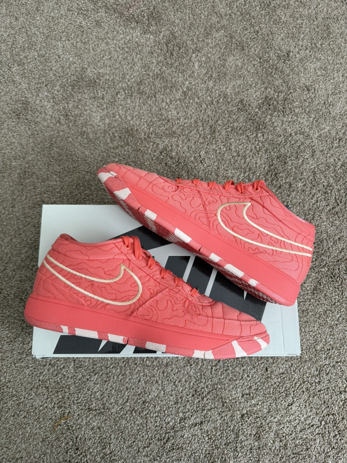 Nike Book 1 “Sedona”