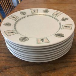 8 Pc. 11 1/4” Stoneware Pfaltzgraff Naturewood Dinner Plates