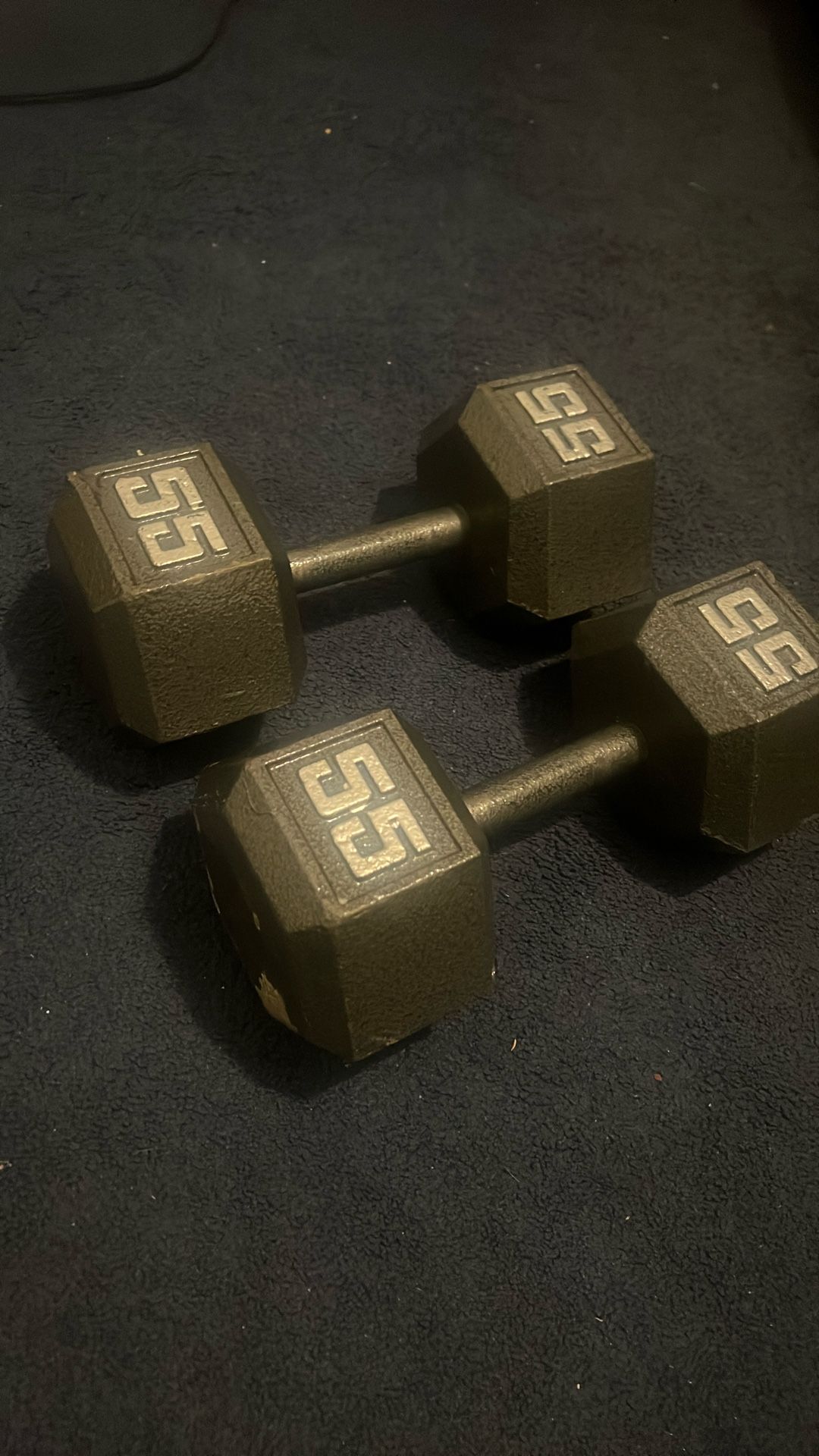 55 pound dumbbells