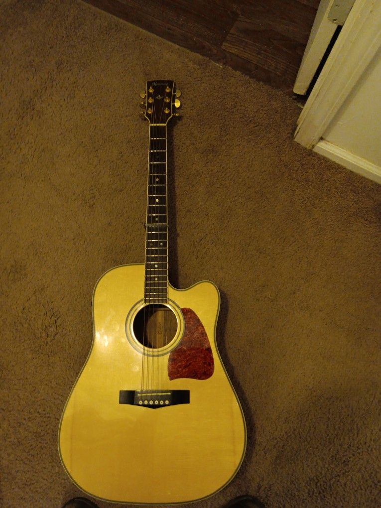 Ibanez Acoustic Electric AW300