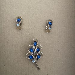 Beautiful Earrings And Pin