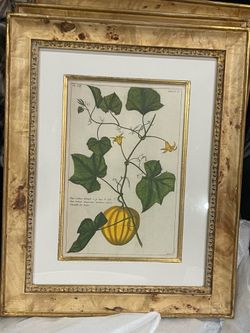 Decor Frames