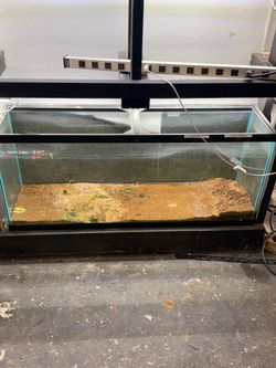 Tanks for sale 150, 50, 20 and 10 gallon tanks