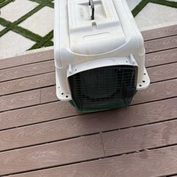 Dog/Cat Kennel 