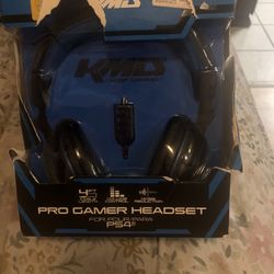 Pro Gamer Headset 