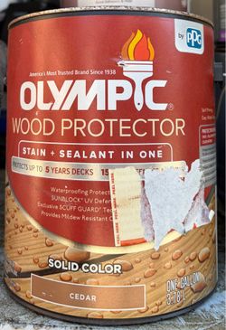 1 gallon exterior stain wood protector