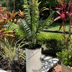 Artificial Green Plant