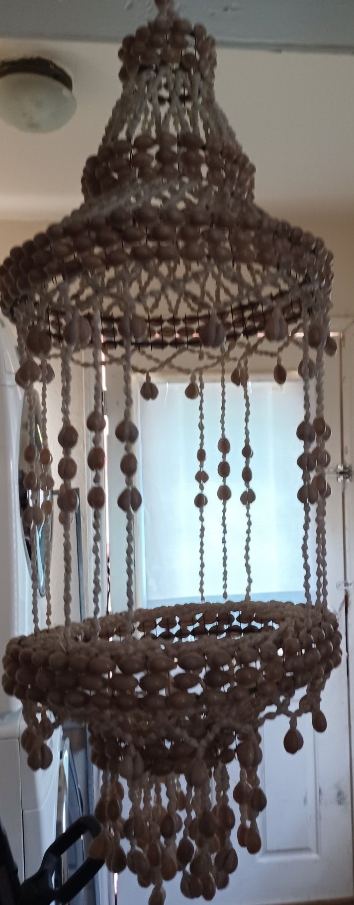 Hanging Shell Plant Holder