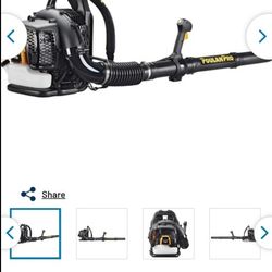 Poulan Pro PR48BT Poulan Pro 48cc 2 Cycle Gas Backpack $200