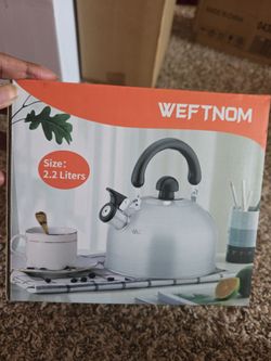 Stainless Steel Whistling Tea Kettle