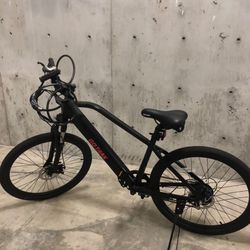 Electric Bike