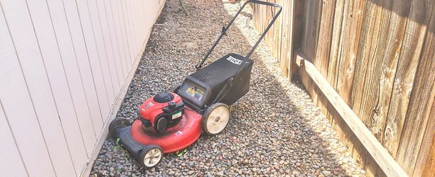 Briggs & Stratton 21" Bagged Mower