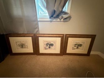Palm tree island tropical photos framed